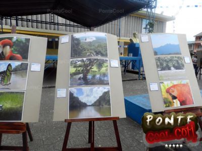 InvitaciÃ³n del Municipio del Puyo a PonteCool.com jurado de concurso de fotografÃ­a
