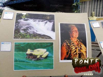 InvitaciÃ³n del Municipio del Puyo a PonteCool.com jurado de concurso de fotografÃ­a
