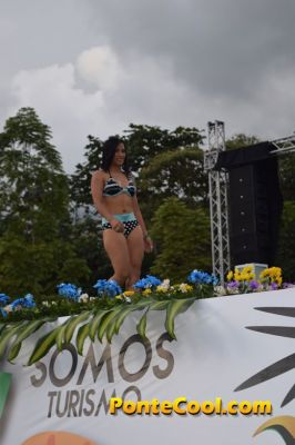 Bikini Piel Canela 2016 Puyo
