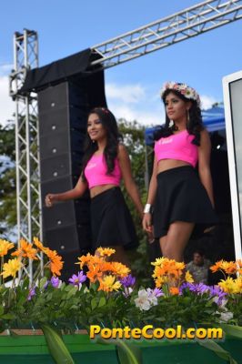 Bikini Piel Canela 2016 Puyo
